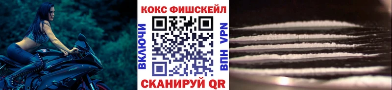 как найти наркотики  Тосно  Cocaine Эквадор 