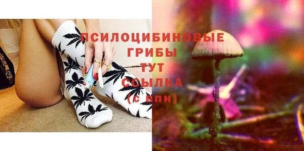 мдма Няндома