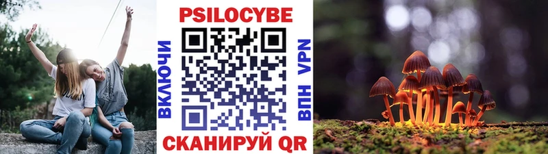 Галлюциногенные грибы прущие грибы  Тосно 