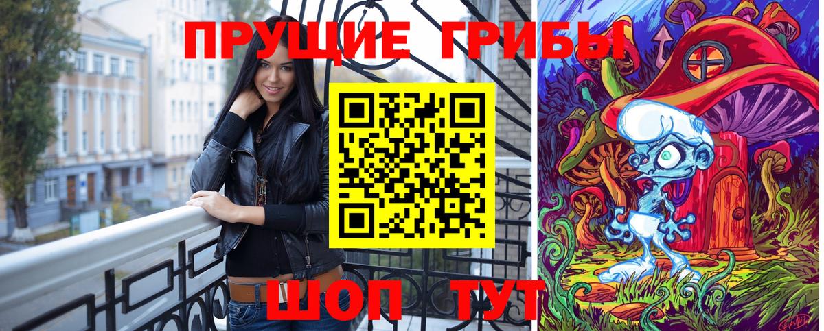 Псилоцибиновые грибы Psilocybe  Вход с VPN  Псилоцибиновые грибы Psilocybine cubensis  Тосно 