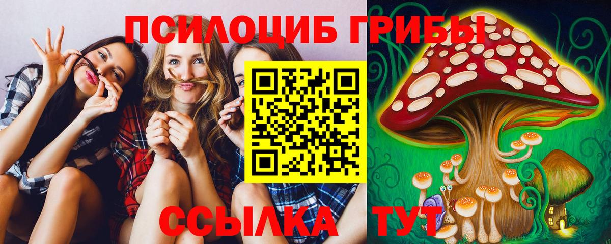 Псилоцибиновые грибы Psilocybine cubensis  Тосно 
