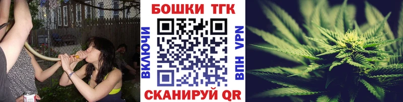 наркота  Тосно  Каннабис конопля 
